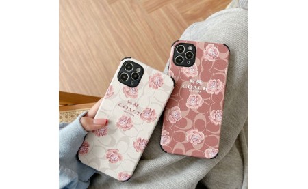 fake designer Coach iphone13 pro max airpods3 2021case the north face